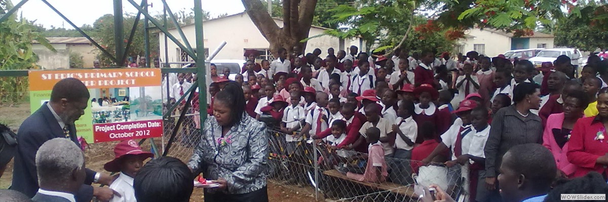 crowd at the commissioning of St eric's P. school water project